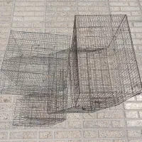 قفس پرنده