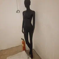 مانکن