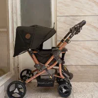 کالسکه دلیجان بنیتا بدنه مسی با روکش مشکی