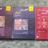 آناتومی گری