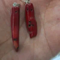 مرجان اصل و درجه یک