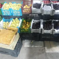 حراج میوه شبی ک میرم میدون