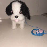 سگ کنترلی حرکتی سخنگو