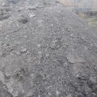 کودبلدرچین