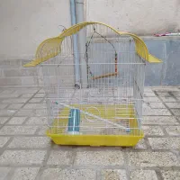 قفس