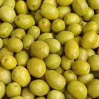 انواع زیتون