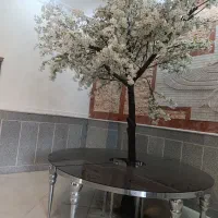 تالارباغ