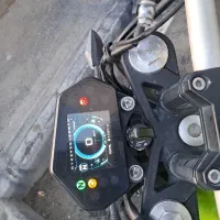 بنلی جفت سالم و کم کار