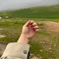 نیازمند مدل ناخن (رایگان)
