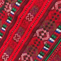 زی استین