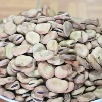 باقلا خشک