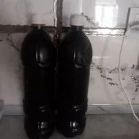 شیره انگور درجه یک .به ضمانت .کاشمر