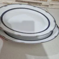 دیس بیضی بزرگ پرشین