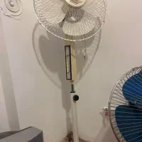 پنکه