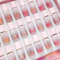 رژگونه مایع شیگلم