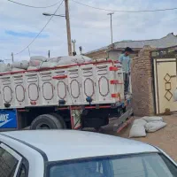 خرید و جمع اوری کود فضله کبوتر کوهی سوله ها