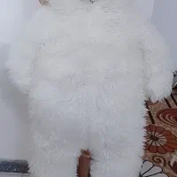 عروسک خرس بزرگ