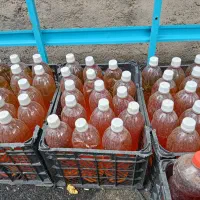 آبغوره خانگی بدون نمک