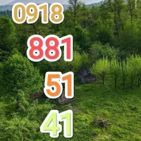 09188815141