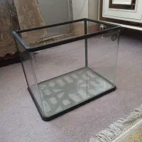 آکواریوم ماهی شیش خم