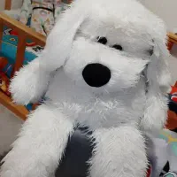 دو عروسک بزرگ