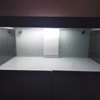 آکواریوم رینلس