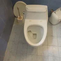 دسشویی فرنگی در حدنو