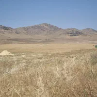 کاه نرم