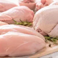 پخش مرغ و قطعه بندی
