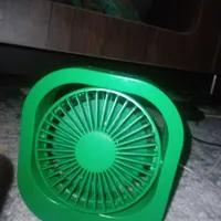 یک پنکا کوچک سبز شارژی