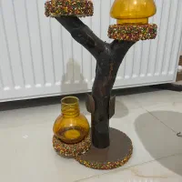 جاشمعی