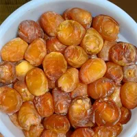 رطب و خارک برحی