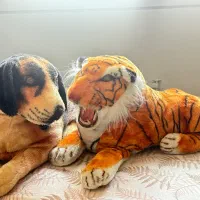 عروسک ببر و سگ