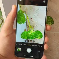 iphone 16 normal نسخه Vietnam|موبایل|اصفهان, سیچان|دیوار