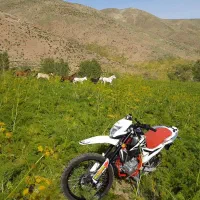 موتور برمودا فلات 250 xr