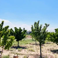 ۶۵۰متر باغ با سهمیه آب در شهرک ویلایی قیمت منصفانه|فروش زمین و ملک کلنگی|مشهد, درزآب|دیوار