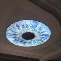 گچ کار ساختمان   (گروه ساختمانی مهاجر)