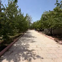 کردان-کوهسار-زمین-1330متر-زمین-مشجر-شهرکی