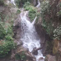 نظافت راه پله وپارکنیگ  و باغچه