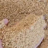 سویا وذرت برزیل