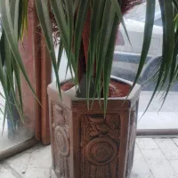 گل مصنوعی|گل مصنوعی|تهران, سجاد|دیوار