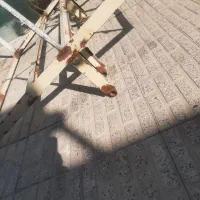 ارابه قاری