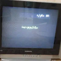 تلویزیون