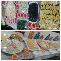 کاروان انصار حسین