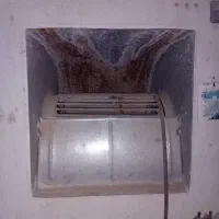 کولرابی دونار