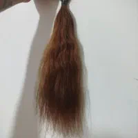 موی طبیعی و مصنوعی