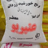 برنج کالابرگ پذیرفته م        عنبربو خورشید زردانه