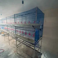قفس بلدرچین
