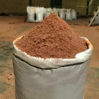 پودر هسته و گوشته خرما