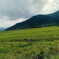 ویلادردل-طبیعت-ماسال-جاده-ماسال-روستای-تنیان